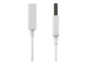 StarTech .com Câble d'extension USB 2.0 A vers A de 3 m - miniature 1