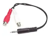 StarTech .com Câble adaptateur audio Mini-Jack 3,5 mm mâle vers 2x RCA femelle - miniature 2