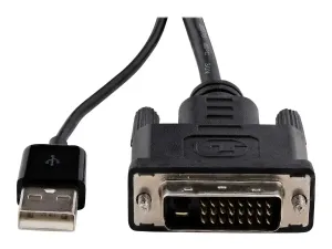 StarTech Adaptateur DVI vers DisplayPort avec alimentation USB - miniature 1
