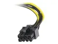 StarTech .com Câble adaptateur d'alimentation LP4 vers carte vidéo Express PCI 8 broches de 15 cm - miniature 3