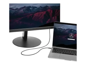 StarTech Câble Thunderbolt 3 (20 Gb/s) USB-C de 1 m - miniature 1