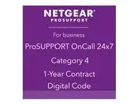 NETGEAR ProSupport OnCall 24x7 Category 4 - miniature 2