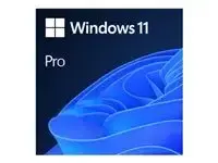 Windows 11 Professionnel - miniature 2