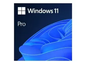 Windows 11 Professionnel - miniature 1