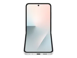 Samsung Galaxy Z Flip7 FE - miniature 1