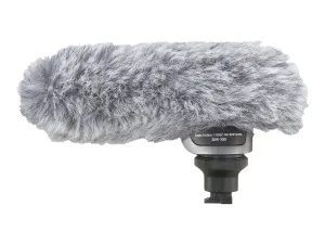 Canon DM-100 - miniature 5