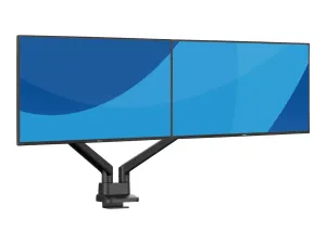 Iiyama DS4002C-B1 - miniature 1