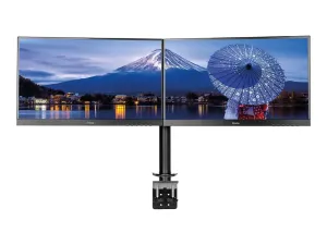 Iiyama DS1002C-B1 - miniature 1