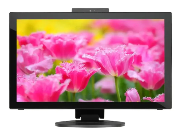 NEC MultiSync E232WMT