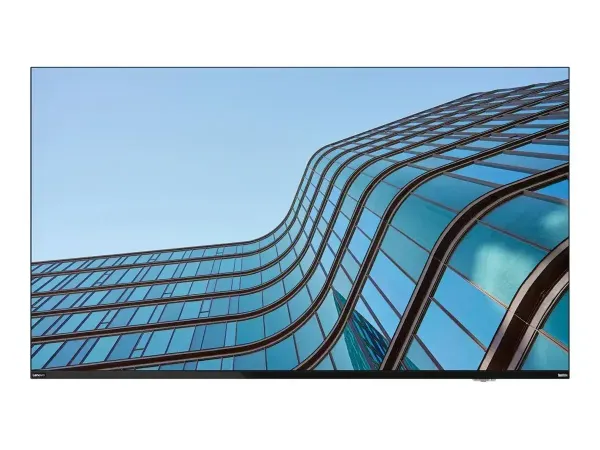 Lenovo ThinkVision E55 LFD