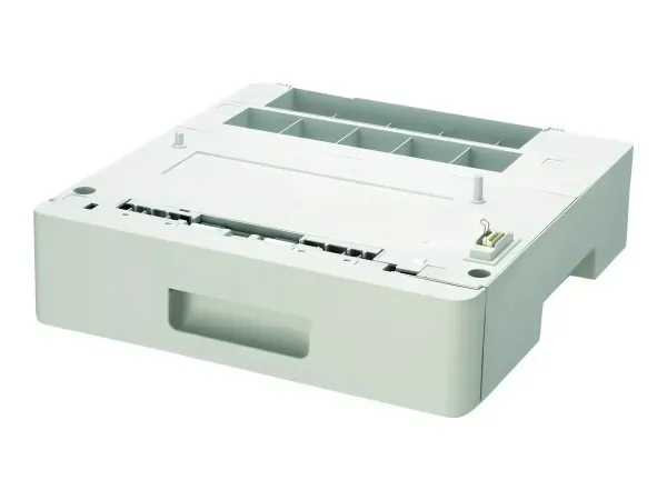Epson C12C802641
