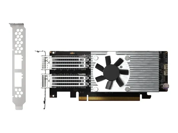 QNAP QXG-100G2SF-E810