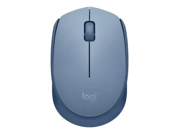 Logitech M171