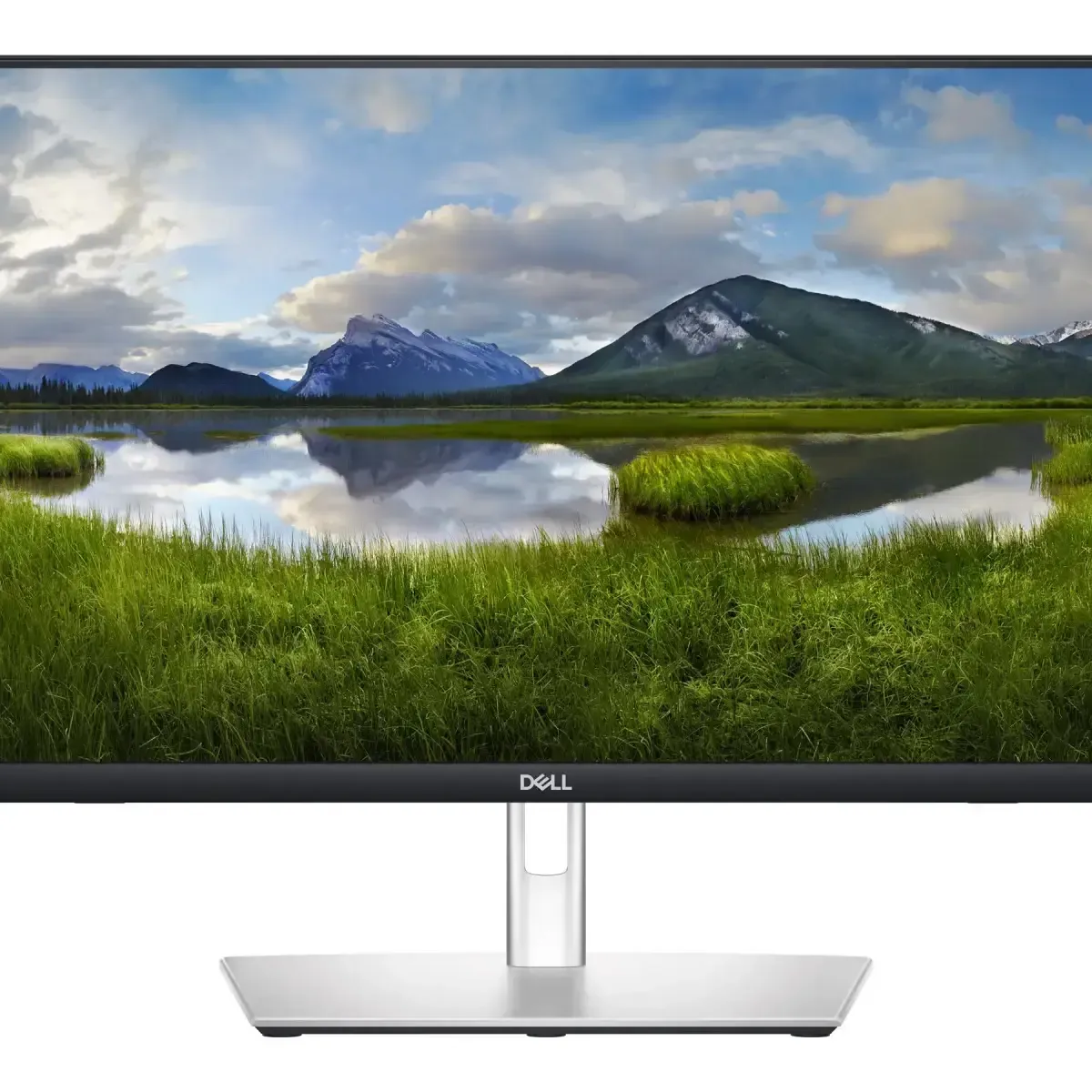 Dell P2424HT