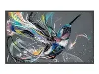 Philips 55BDL3650QE