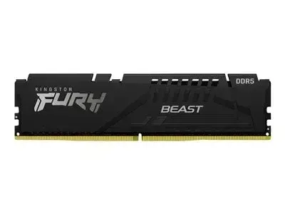 Kingston FURY Beast