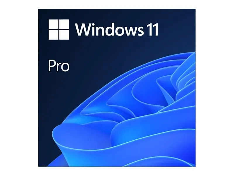 Windows 11 Professionnel 