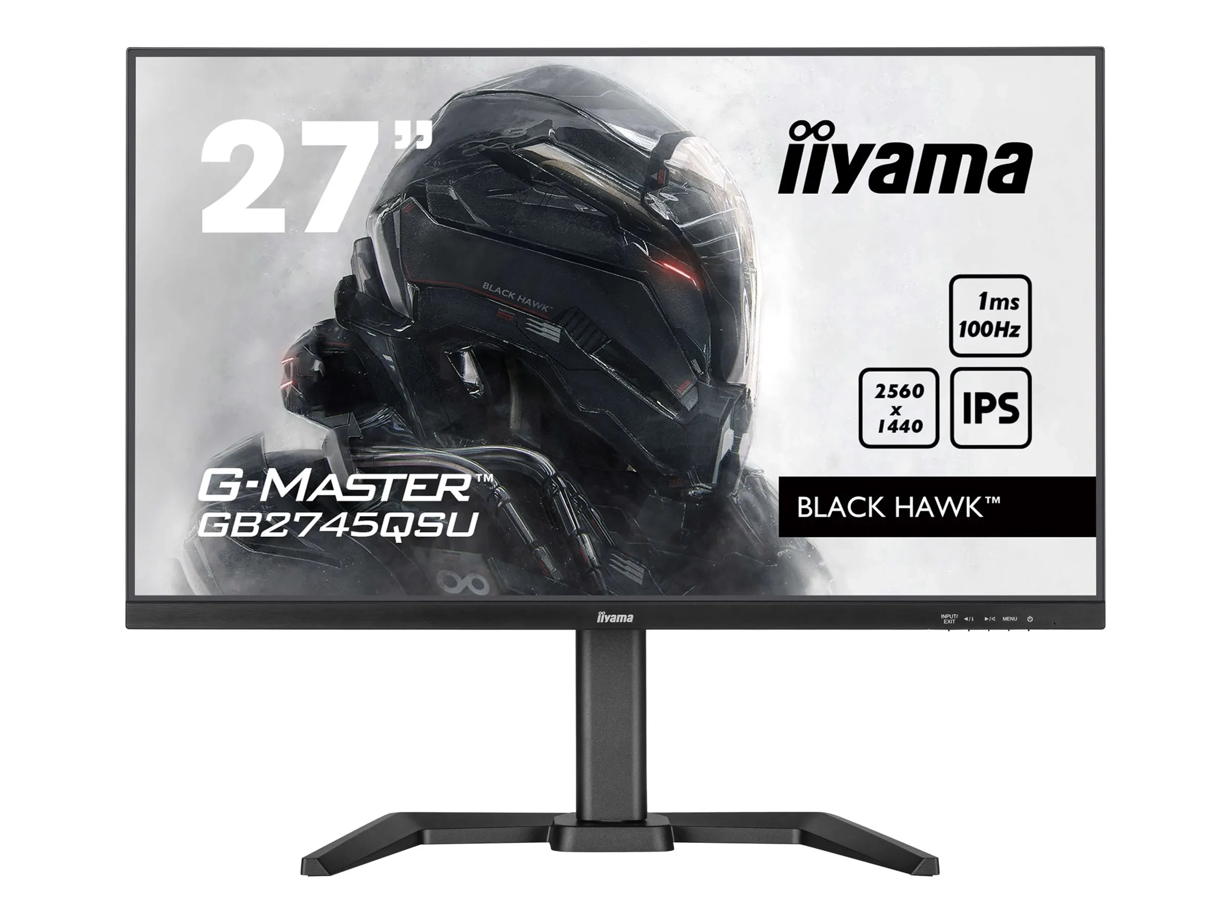 iiyama G