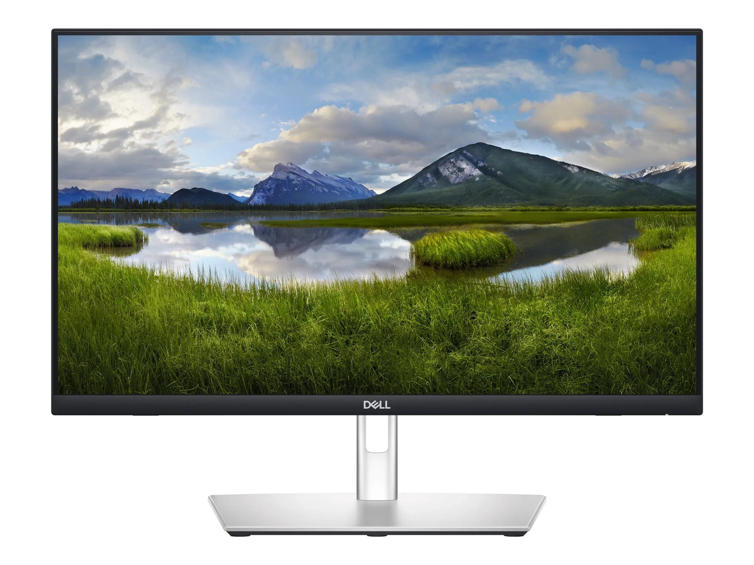 Dell P2424HT