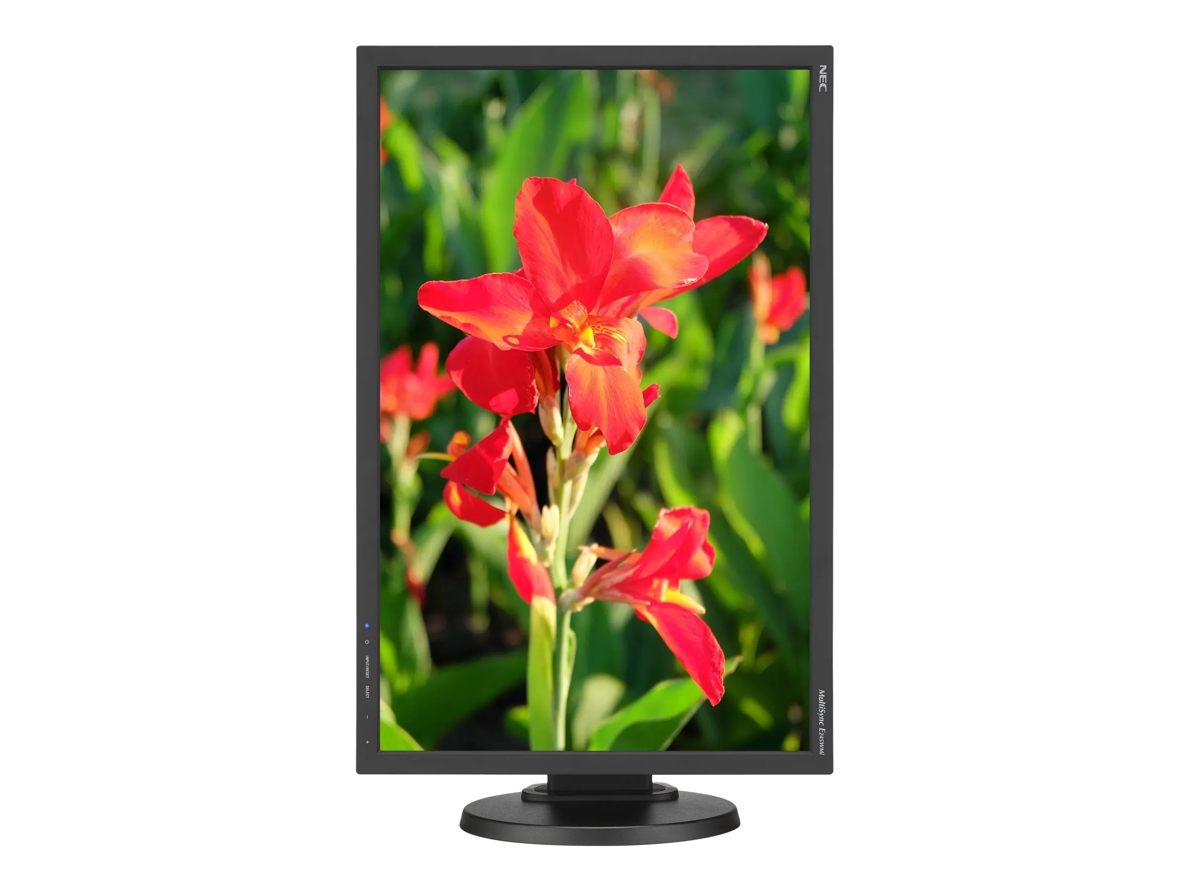 NEC MultiSync E245WMi