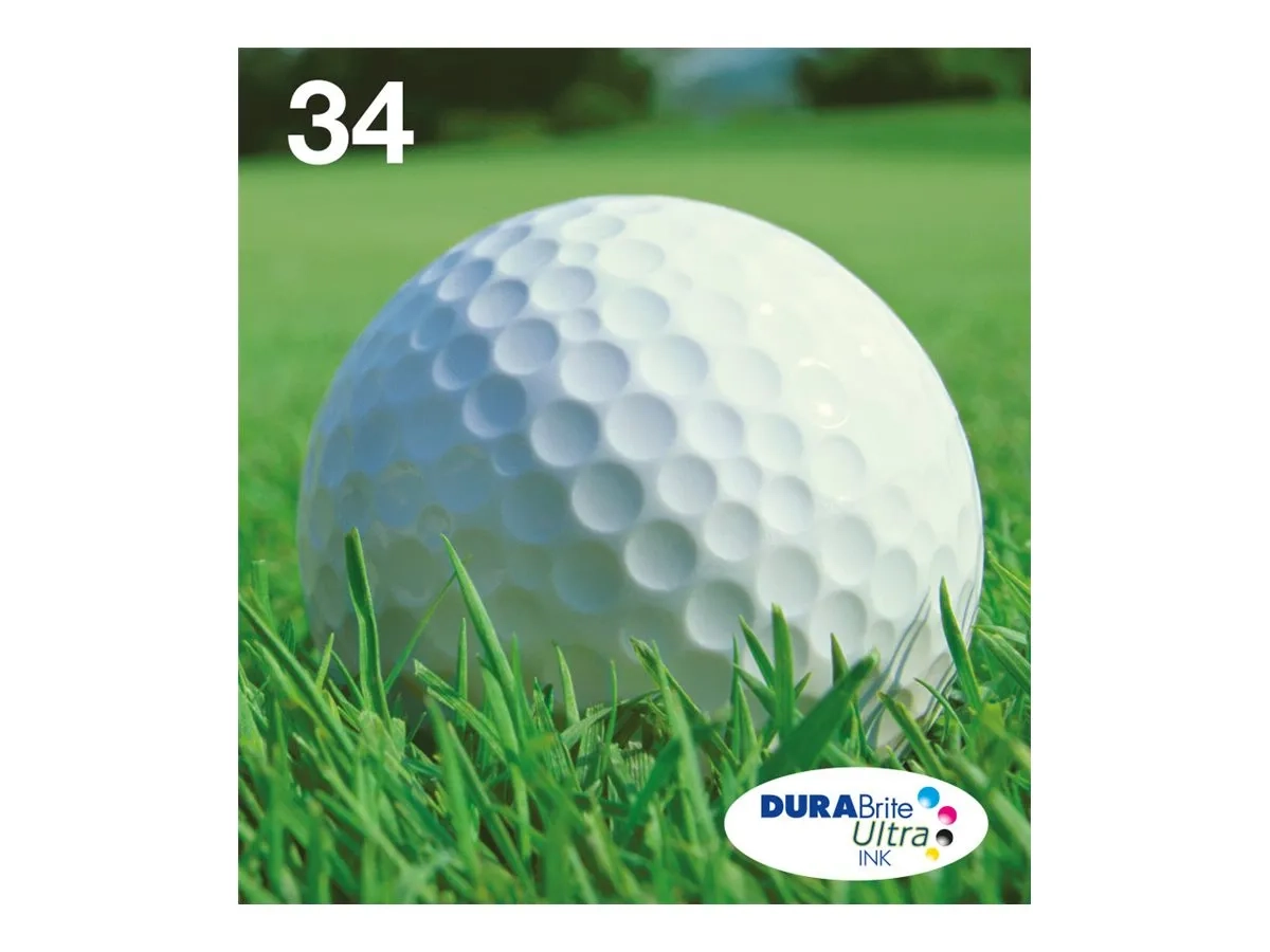 Epson DURABrite Ink Multipack 4