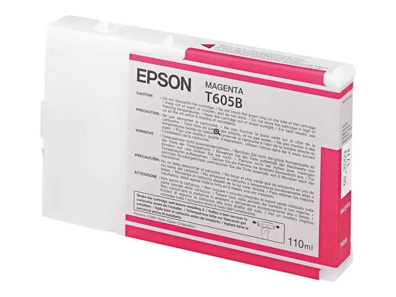 Epson T605B