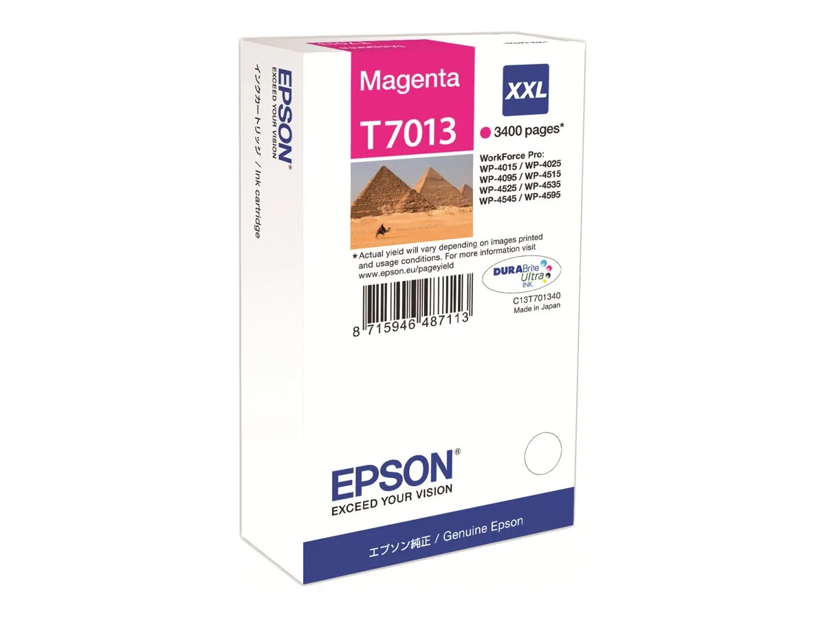 Epson T7013