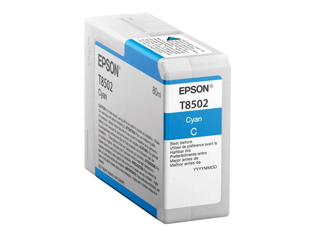 Epson T850200