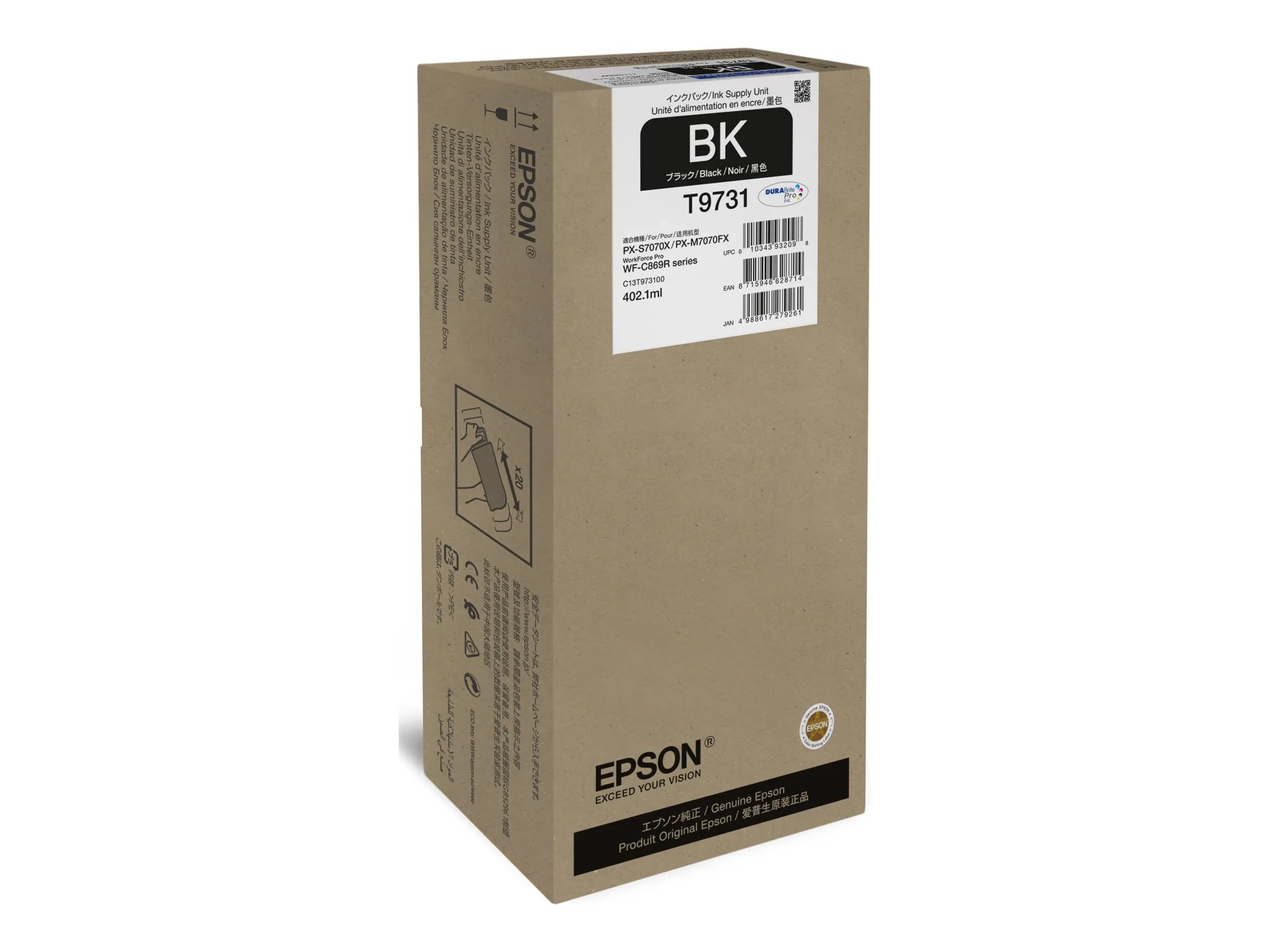 Epson T9731