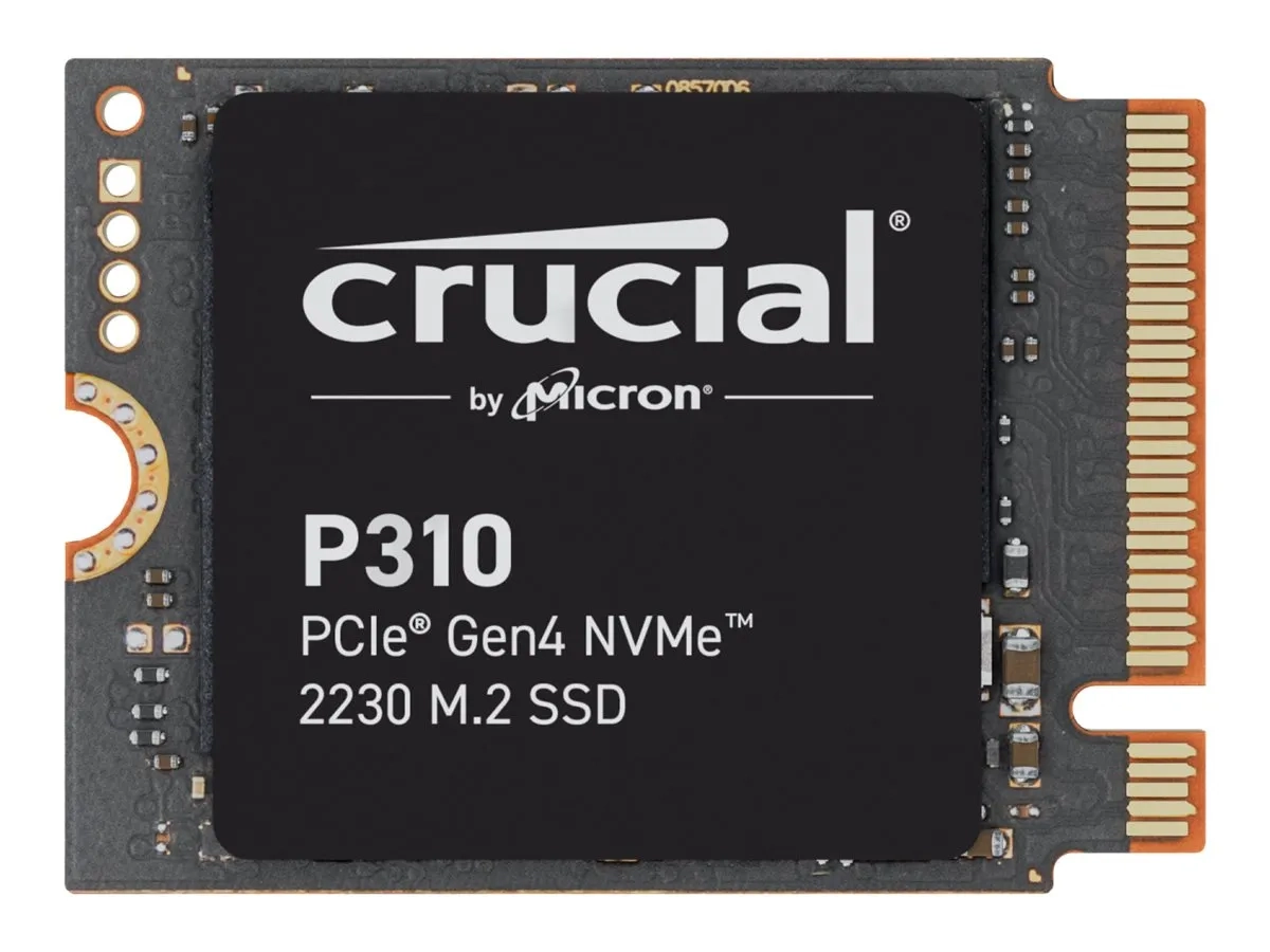 Crucial P310