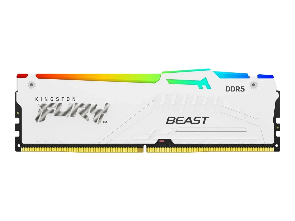 Kingston FURY Beast RGB