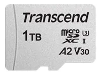 Transcend USD300S