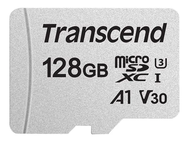 Transcend 300S