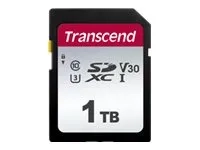 Transcend 300S