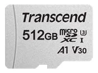 Transcend 300S