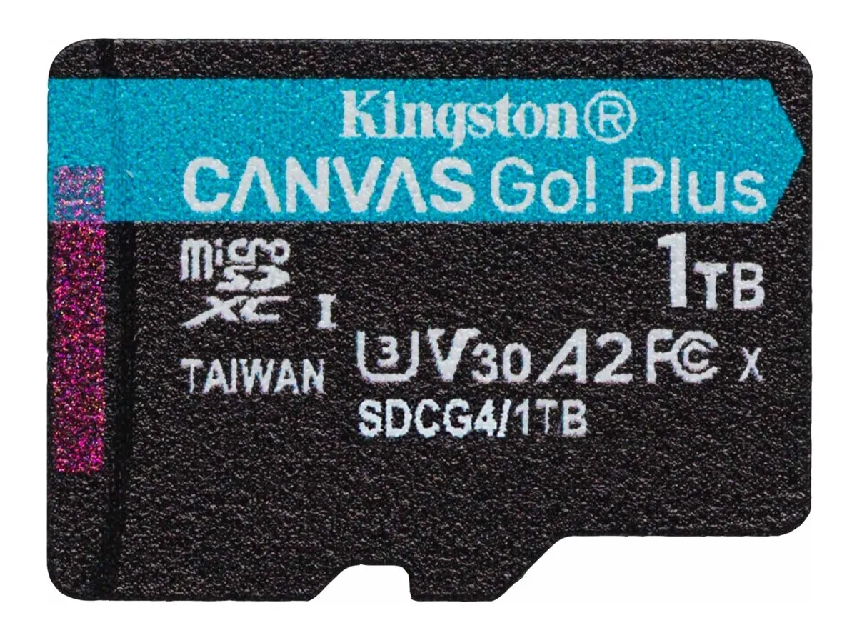 Kingston Canvas Go! Plus