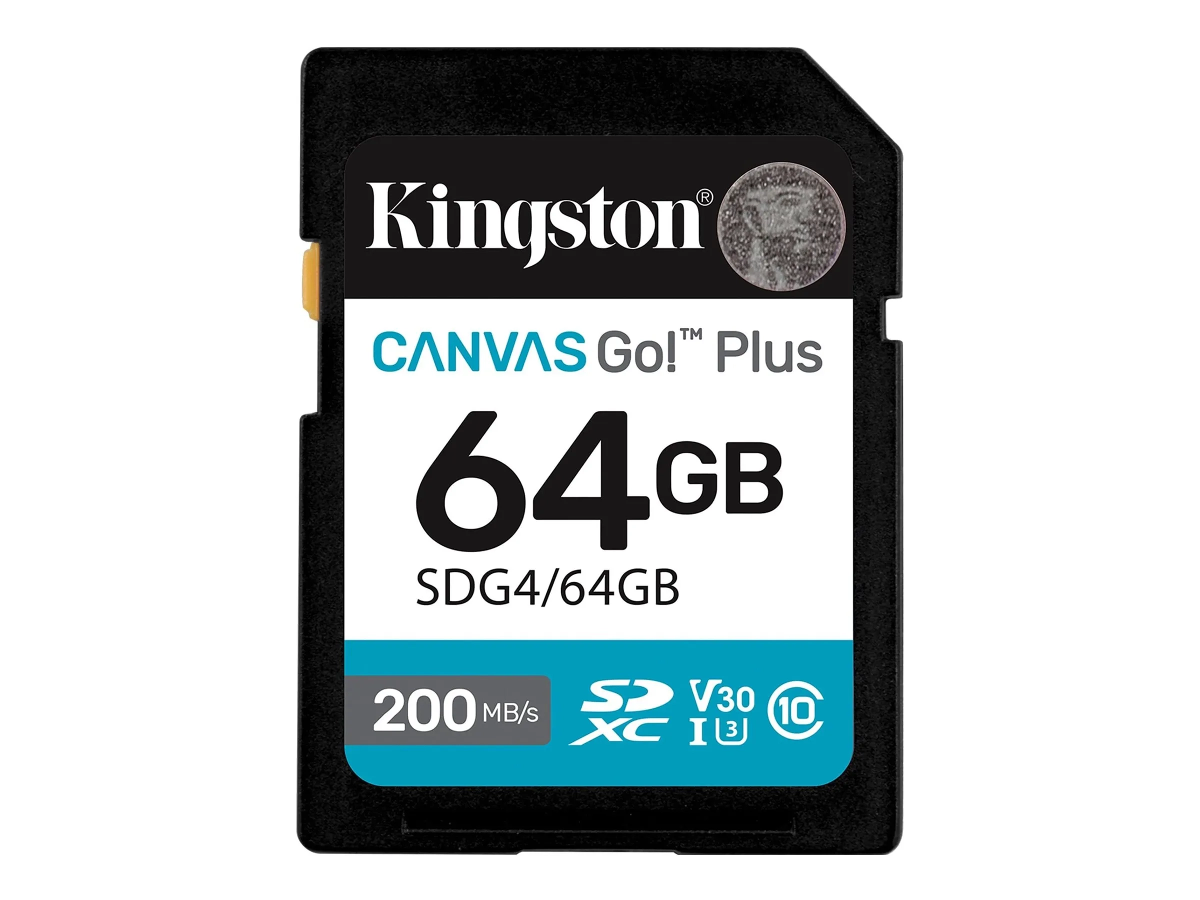Kingston Canvas Go! Plus