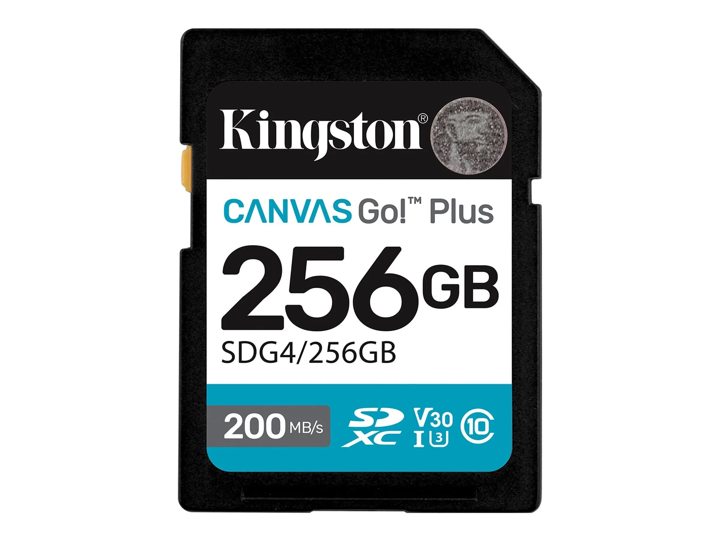 Kingston Canvas Go! Plus