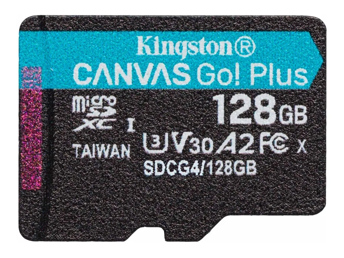 Kingston Canvas Go! Plus