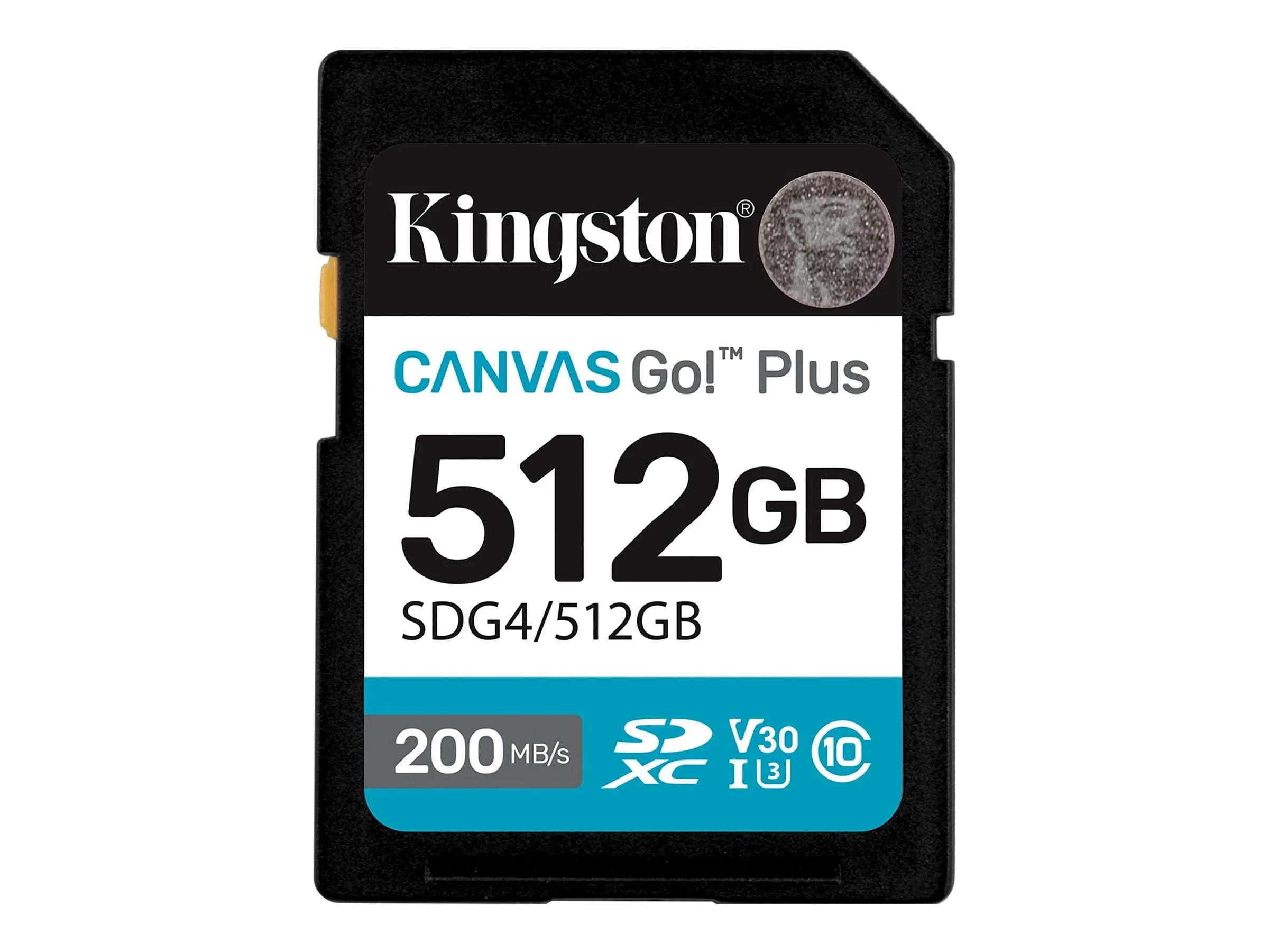 Kingston Canvas Go! Plus