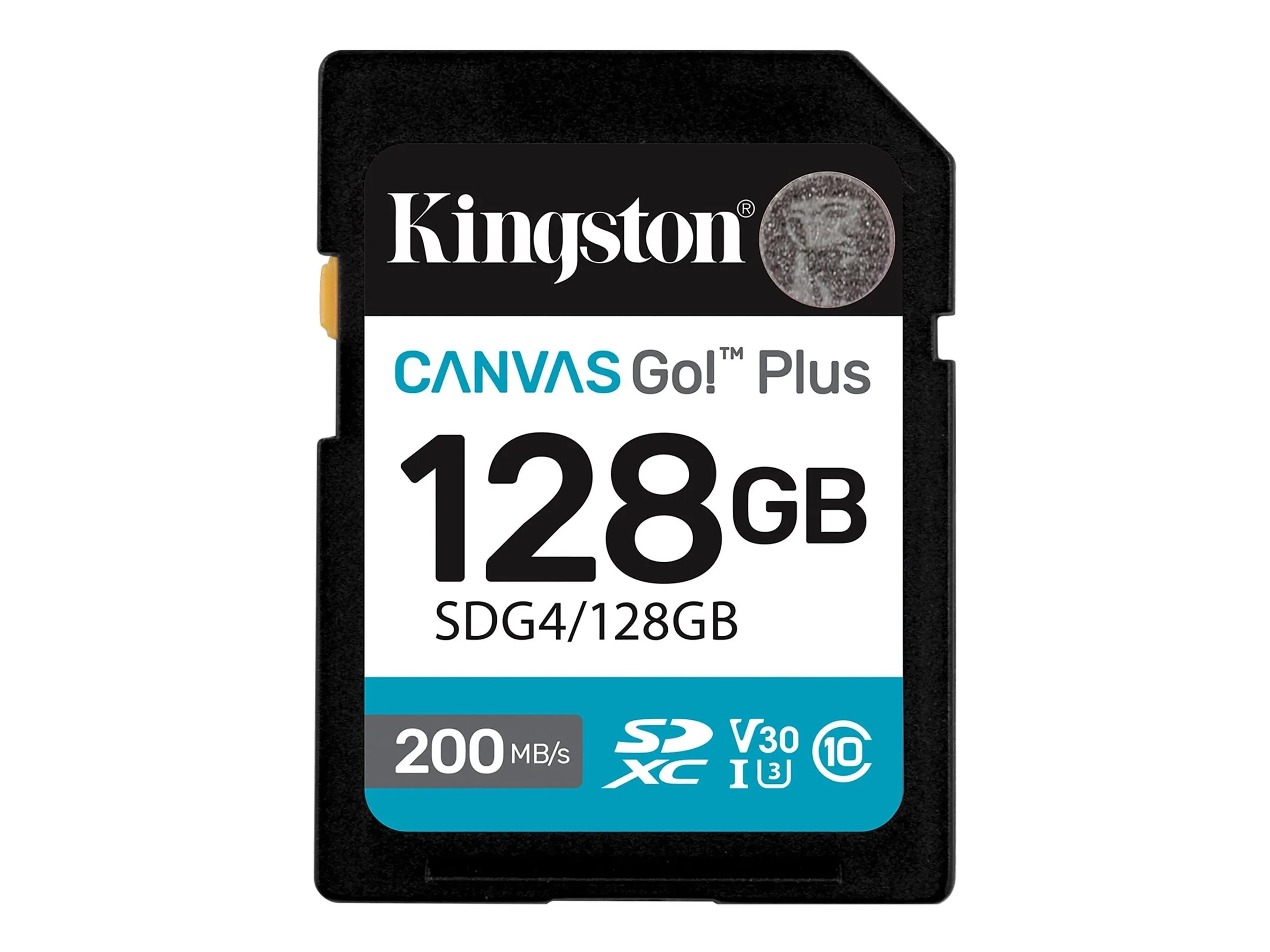 Kingston Canvas Go! Plus