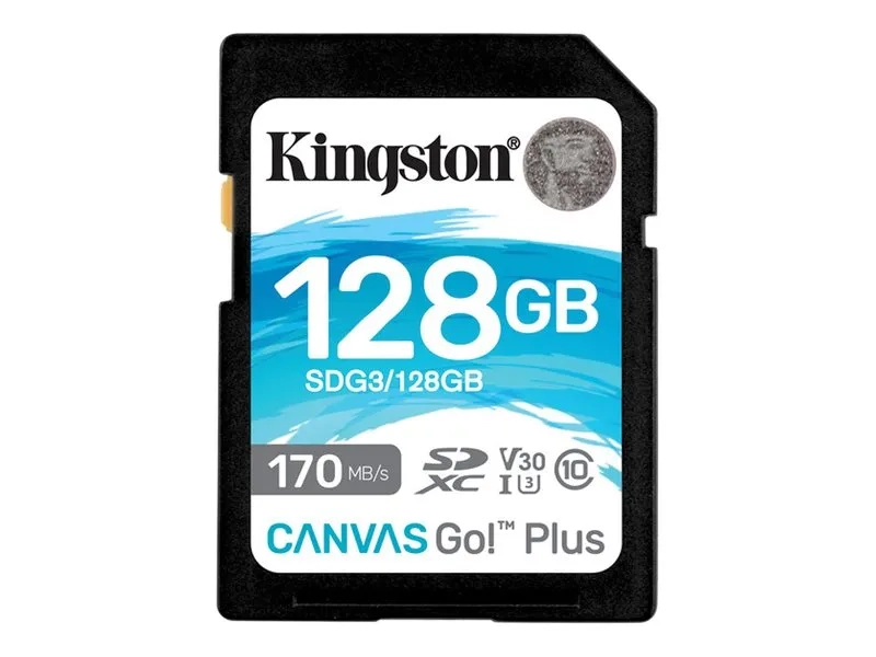Kingston Canvas Go! Plus