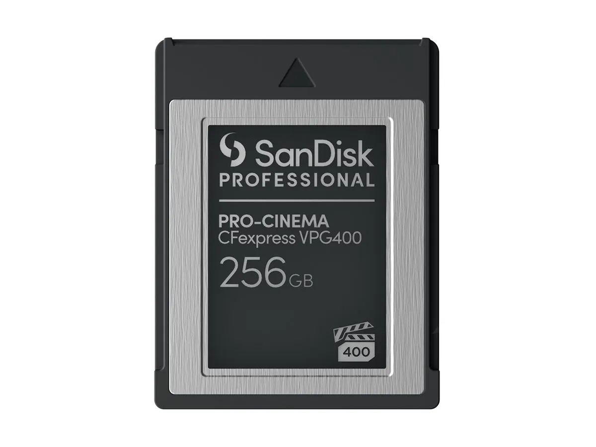 SanDisk Professional