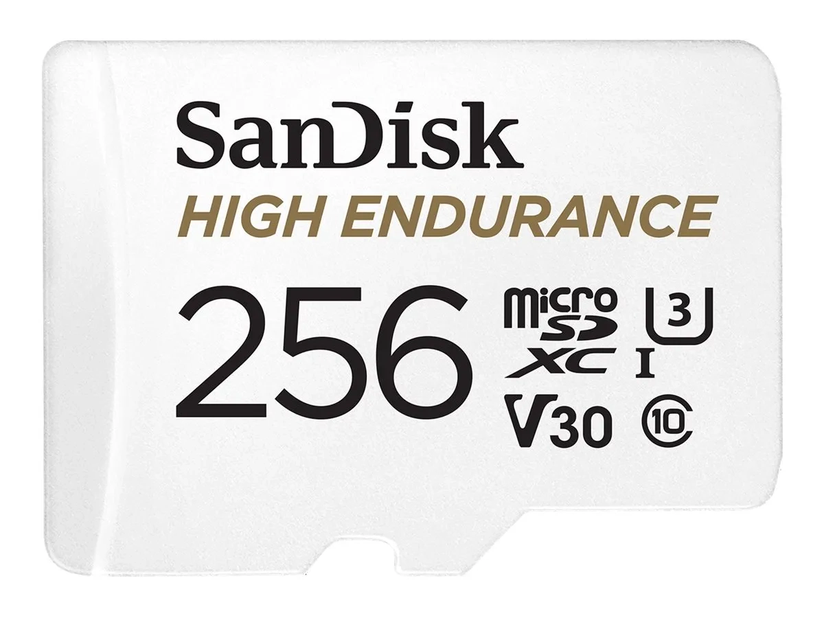 SanDisk High Endurance