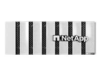 NetApp AFF C