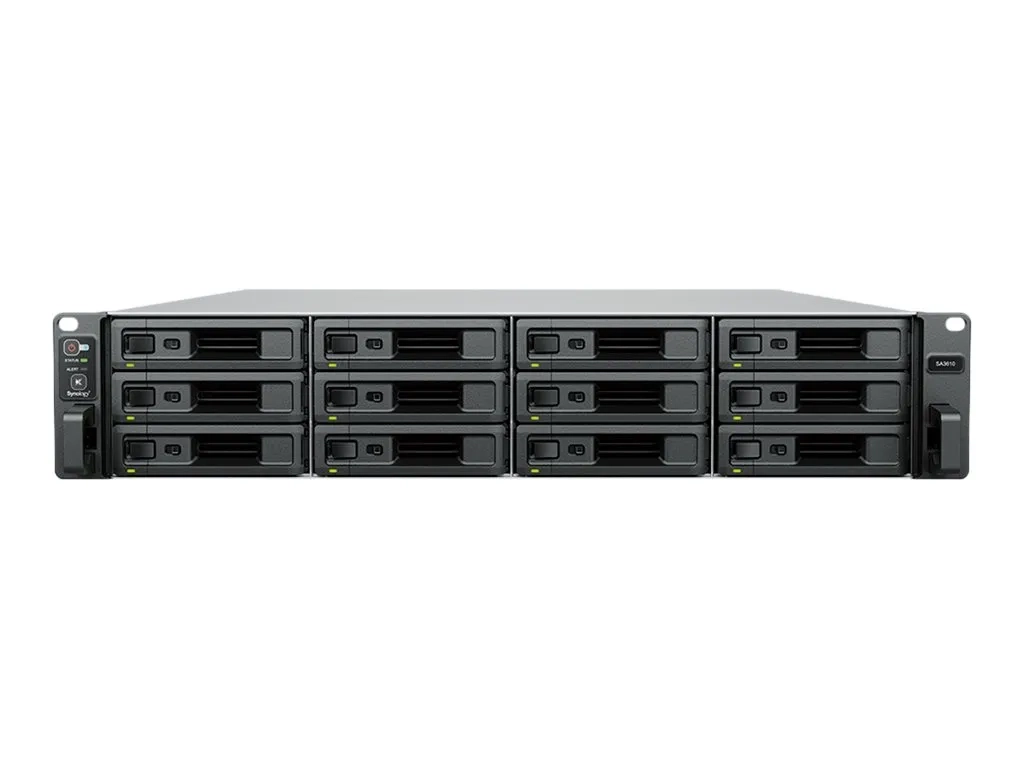 Synology SA3410