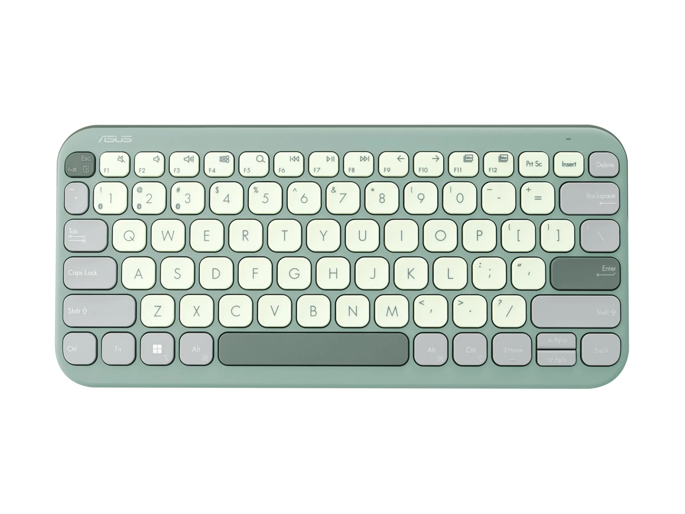 ASUS Marshmallow KW100