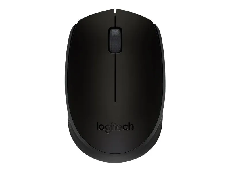 Logitech M171