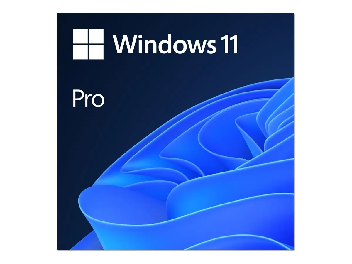 Windows 11 Professionnel 