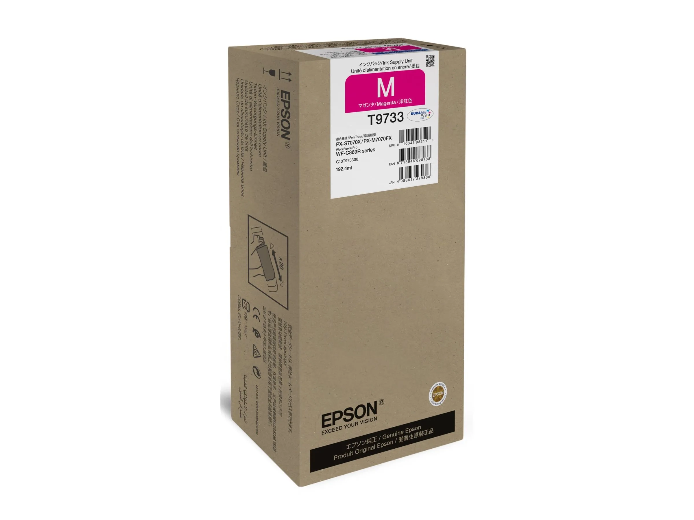 Epson T9733